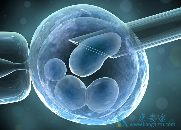 泰国试管婴儿步骤 泰国试管婴儿步骤