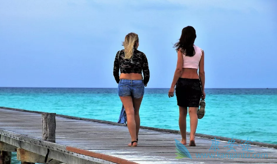 ҽ������