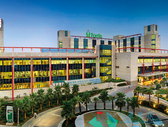 ҽ������