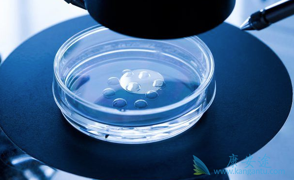 泰国第三代试管婴儿 泰国第三代试管婴儿