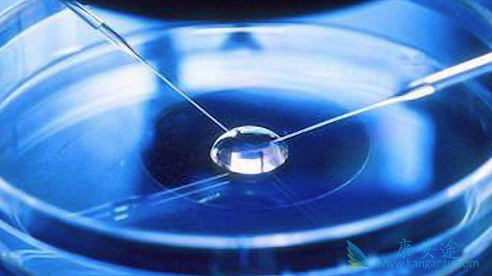 第三代泰国试管婴儿 第三代泰国试管婴儿