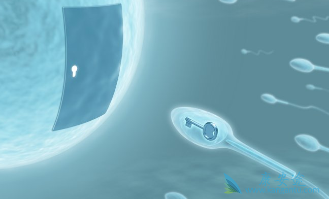 泰国试管婴儿中介 泰国试管婴儿中介