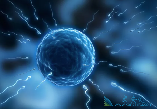 泰国试管婴儿中介 泰国试管婴儿中介