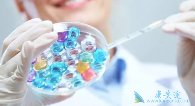 泰国试管婴儿流程 泰国试管婴儿流程