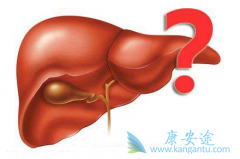 �Ҹβ���Я���߲���ע���ǿ��ܵ��·�����