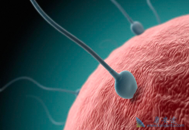 美国第三代试管婴儿 美国第三代试管婴儿