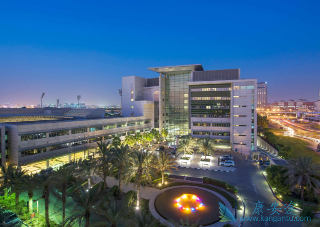 ����ҽ��