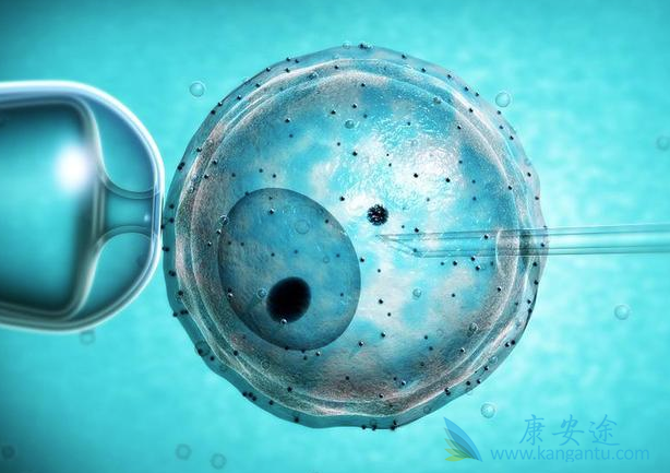 试管婴儿移植后出血 试管婴儿移植后出血