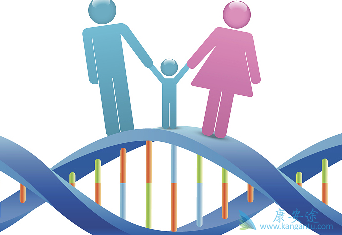 试管婴儿技术 试管婴儿技术