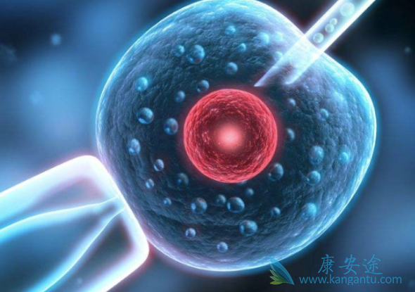 泰国试管婴儿费用 泰国试管婴儿费用