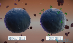 CAR-Tϸ�����Ʒ�����һ�����͵������������Ʒ���