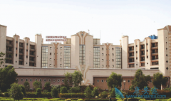 �й�����ѡ��ҽ������ȥӡ��Ϊ��Ѱ�����ҩ