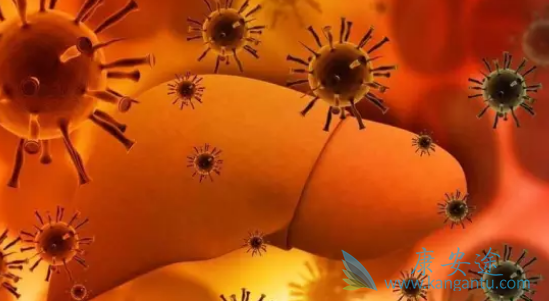 ���͸���