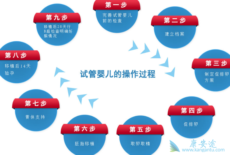 试管婴儿流程 试管婴儿流程