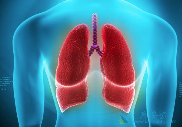 �ΰ�������ô����