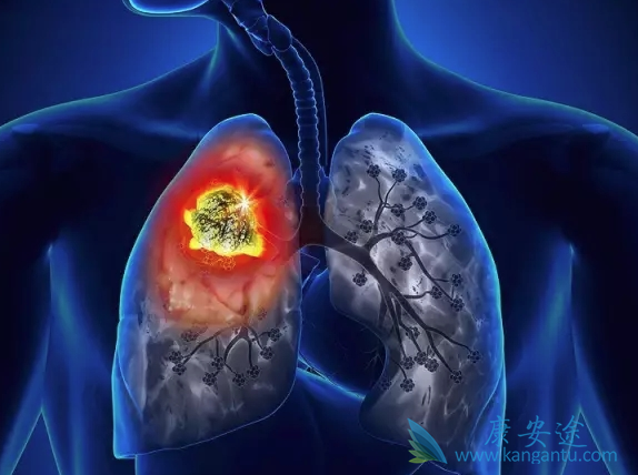 �ΰ����ڴ�Ⱦ��