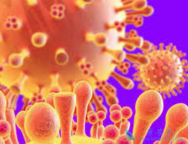 �ΰ����ڻ��ܻ���