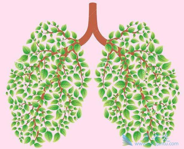 �ΰ����Ʒ���