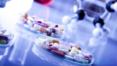 �����������������ΰ��������κ���