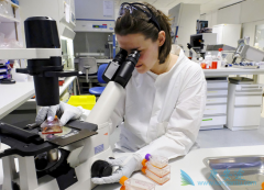 Cellectis�����翪ʼ���ּ�����CAR-Tϸ���Ʒ��Ĺ�˾֮һ