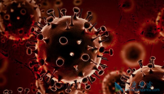 �й���Сϸ���ΰ�����Щҩ�ڽ��о���