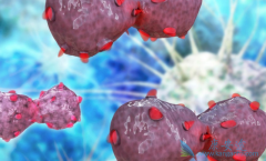 ��������ҩ����Ŀǰ���Ʒΰ����·���