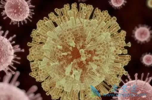 �ΰ�����