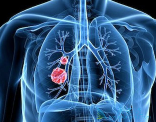 �ΰ������Ʒ���