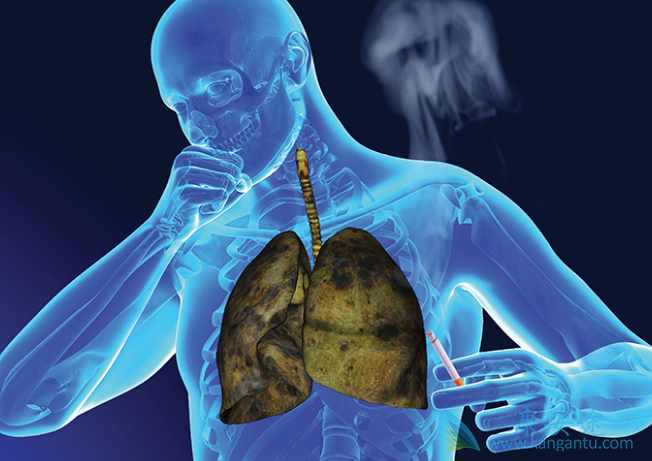 �ΰ������Ʒ���