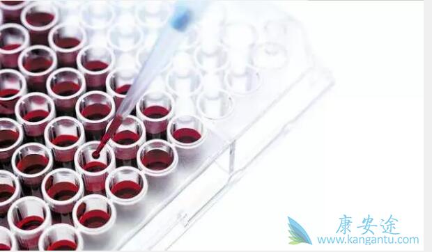 乙肝两对半 乙肝两对半