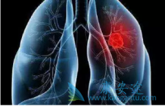 �ΰ���������������ĵ�����֮�ΰ����ڴ�Ⱦ��