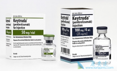 pembrolizumab�ɳ�ΪPD-L1�߱�������NSCLC����һ�����Ʒ���