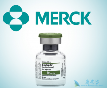 �ܹ������ڹ������е�PD-1���Ƽ��ǽ��ڵĻ��ǹ����ģ�