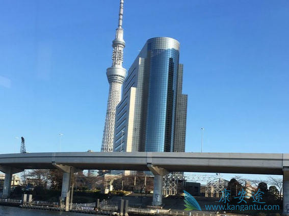 ҽ������