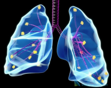 ���ڷΰ��������ƿ�Ѹ���޸����������ϵͳ