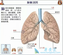 �ΰ����Ʒ�������Щ�Լ��ΰ�����Ӧ��ע�������