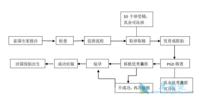 试管婴儿的具体流程 试管婴儿的具体流程