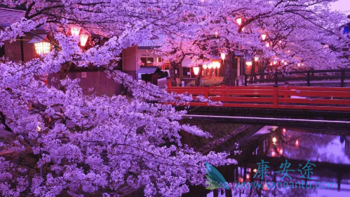 ҽ������