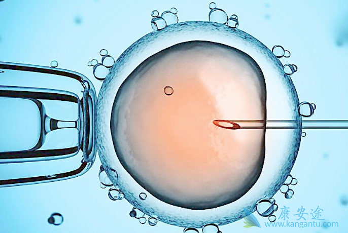 什么是试管婴儿 什么是试管婴儿