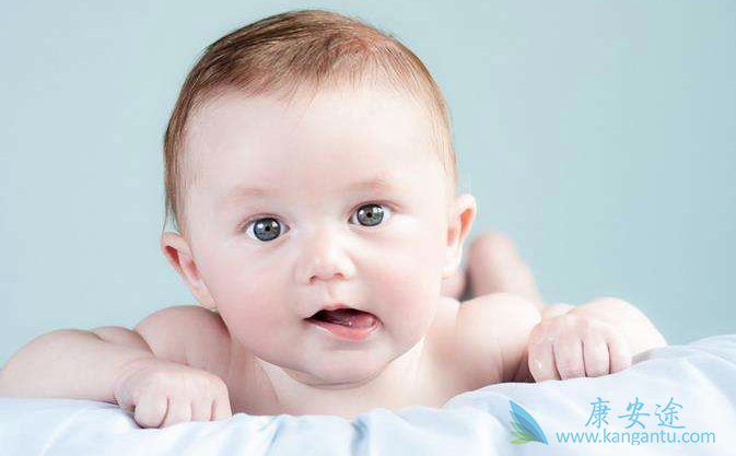 试管婴儿双胞胎 试管婴儿双胞胎