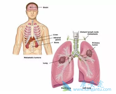 �ΰ������ڼ��ʲô