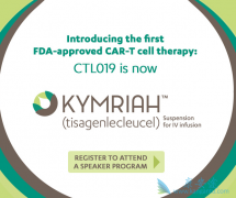 �����ڴ�ŵ�����µ�CAR-Tϸ�����Ʒ�����������ʵ����