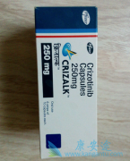 ����ҩ��������Crizotinib����������߷ΰ�����������