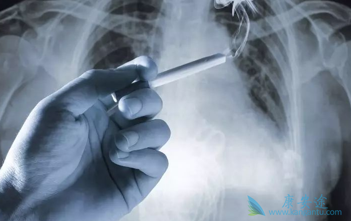 ���ڷΰ�����