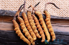 ���ڷΰ���������������ʱ���Ի�����ʲô�ô�