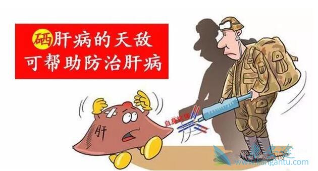 乙肝论坛 乙肝论坛