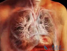 ���ڷΰ�ת�ƻ�ת�Ƶ����������ʲô��λ