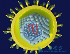 �������ο������Բ���Ӱ����λ��ߵĸβ���չ