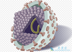 ���δ���;����Ԥ��Խ��Խ�ܵ����ǵĹ�ע