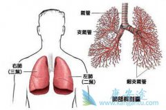 �ΰ�������ǰ֢״��Ҫ����Щ����